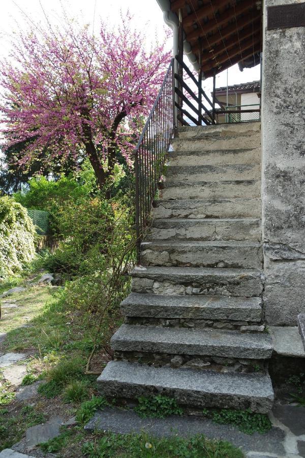 Ca Betulla Villa Novate Mezzola Buitenkant foto